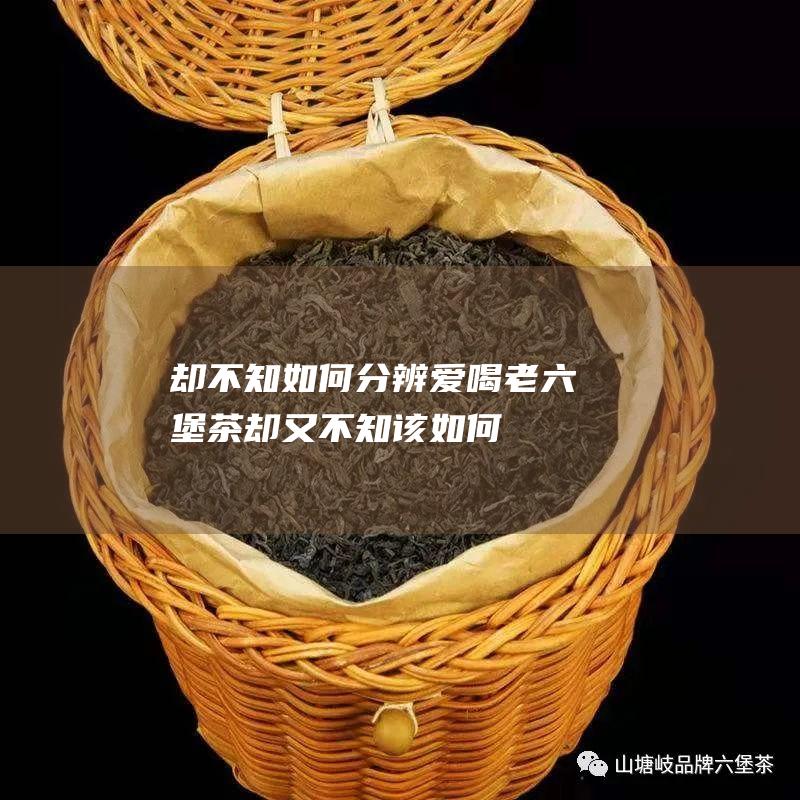 却不知如何分辨 爱喝老六堡茶 (却又不知该如何)