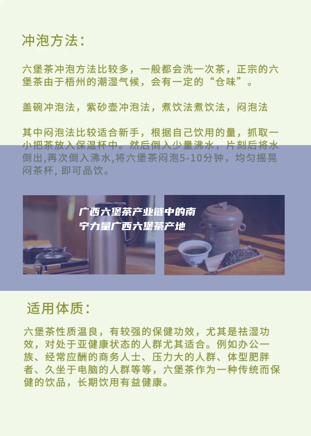 广西六堡茶产业链中的南宁力量 (广西六堡茶产地在哪)