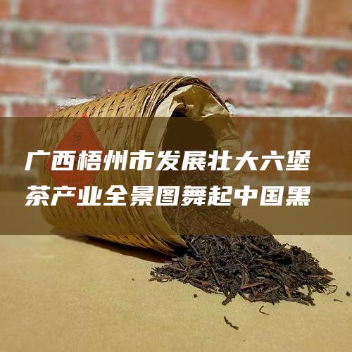 市发展壮大茶产业全景图舞起中国黑