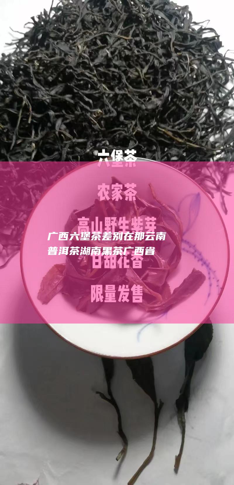 广西六堡茶差别在那 云南普洱茶 湖南黑茶 (广西省六堡茶)