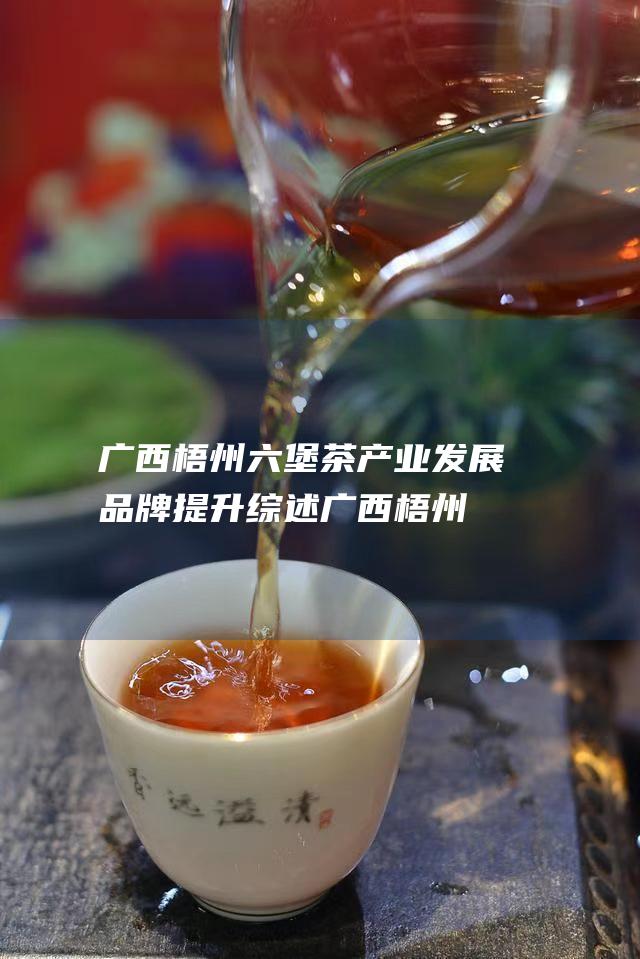 广西梧州六堡茶产业发展品牌提升综述 (广西梧州六堡茶的功效与作用)