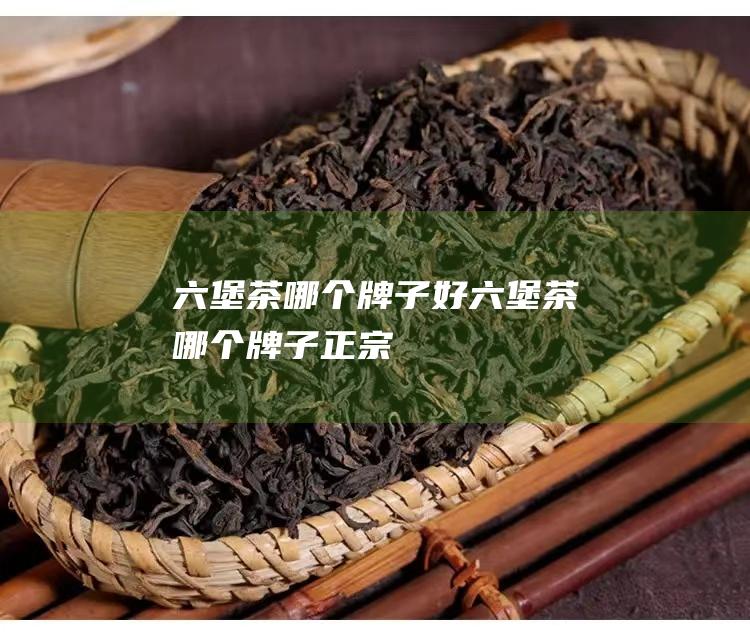 六堡茶哪个牌子好 (六堡茶哪个牌子正宗)