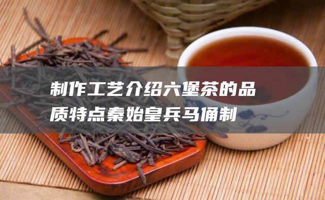 制作工艺介绍 六堡茶的品质特点 (秦始皇兵马俑制作工艺介绍)