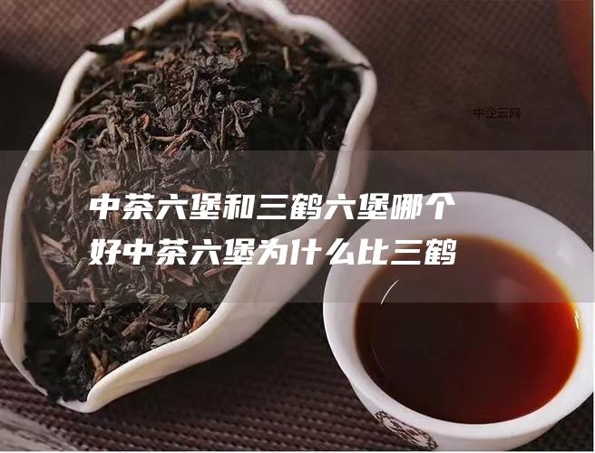 中茶六堡和三鹤六堡哪个好 中茶六堡为什么比三鹤的好喝 (中茶六堡和三鹤六堡哪个好)