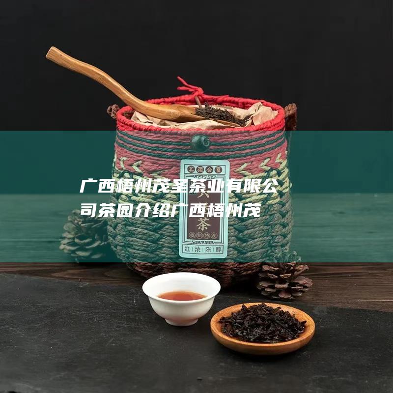 广西梧州茂圣茶业有限公司茶园介绍 (广西梧州茂圣六堡茶)