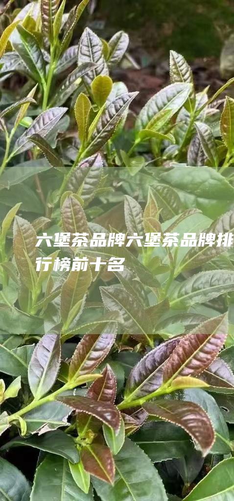 六堡茶品牌 (六堡茶品牌排行榜前十名)