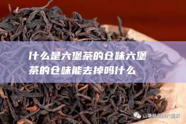 什么是六堡茶的仓味 六堡茶的仓味能去掉吗 (什么是六堡茶介绍)