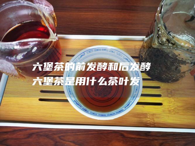 六堡茶的前发酵和后发酵 (六堡茶是用什么茶叶发酵的)