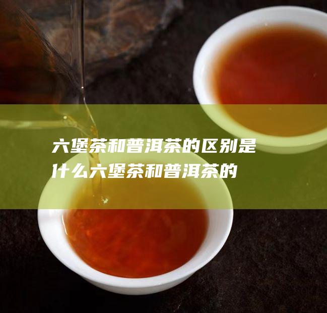 六堡茶和普洱茶的区别是什么 (六堡茶和普洱茶的区别)