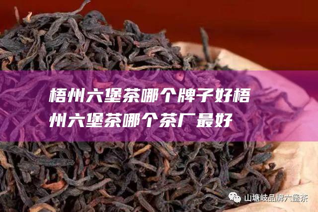 梧州六堡茶哪个牌子好 (梧州六堡茶哪个茶厂最好)