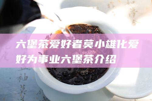 六堡茶爱好者莫小雄化爱好为事业 (六堡茶介绍)