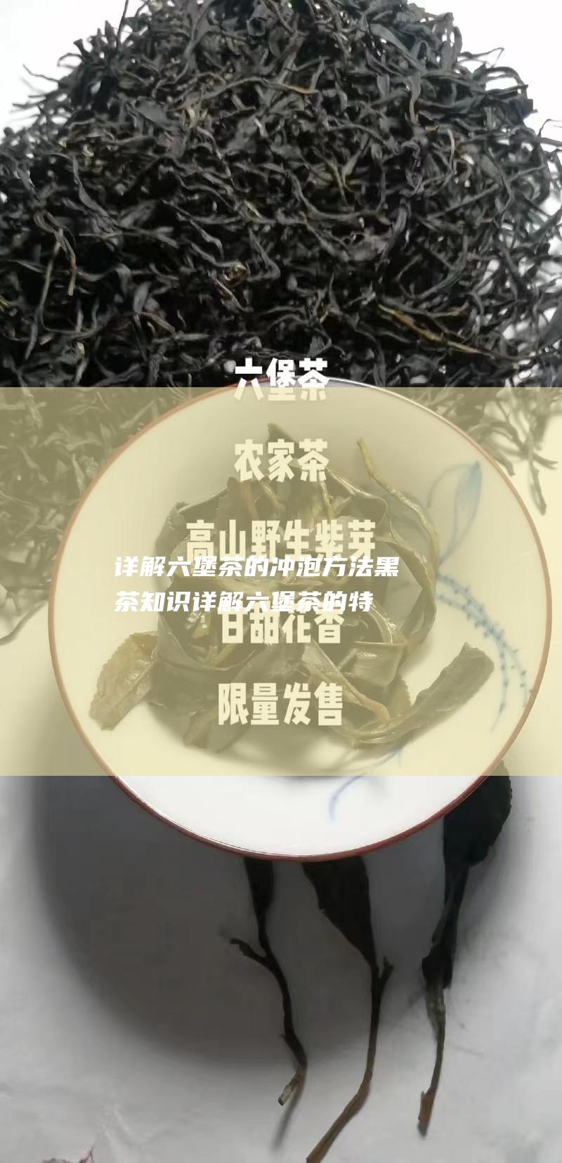 详解的冲泡方法黑茶知识详解的特