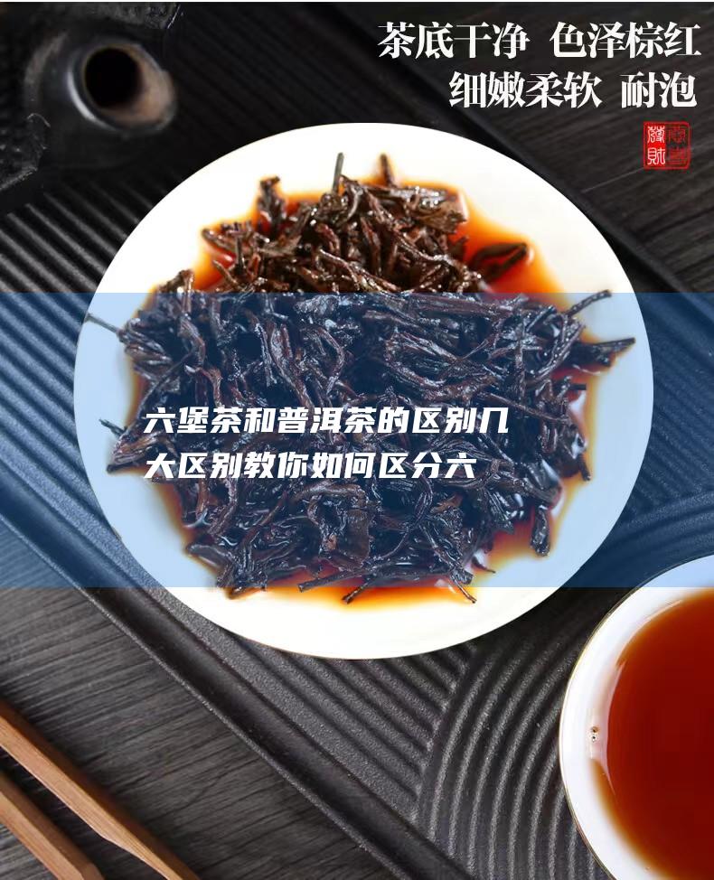 六堡茶和普洱茶的区别 几大区别教你如何区分 (六堡茶和普洱茶的区别)