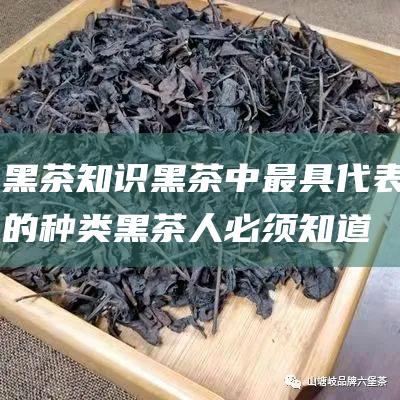 黑茶知识黑茶中最具代表的种类 (黑茶人必须知道的8个黑茶知识)