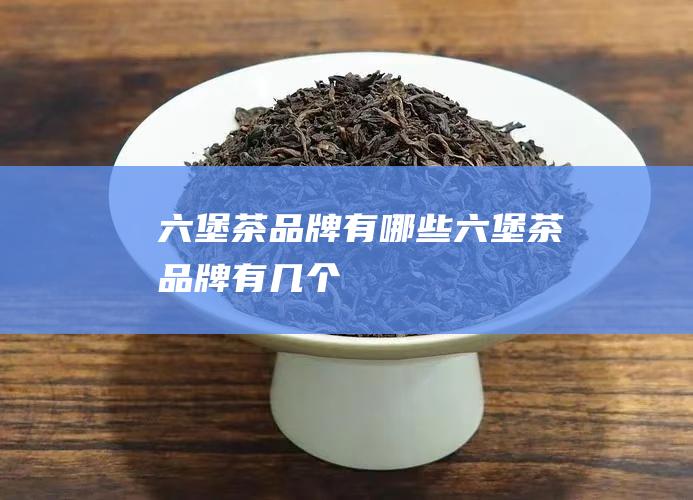 六堡茶品牌有哪些 (六堡茶品牌有几个)