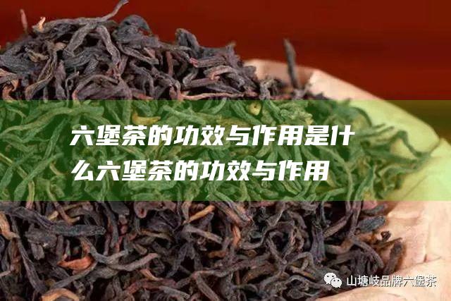 的功效与作用是什么的功效与作用