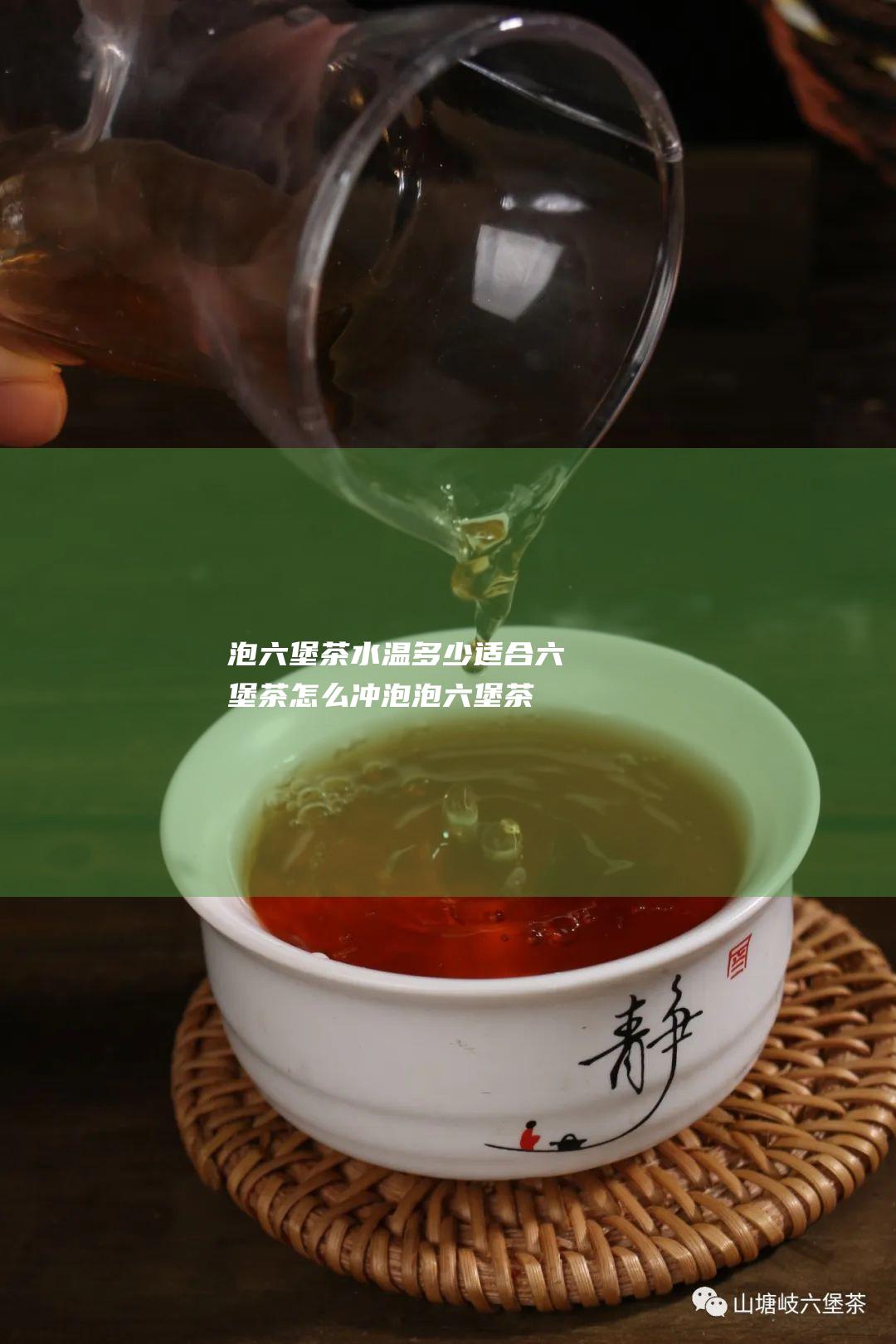 泡六堡茶水温多少适合 六堡茶怎么冲泡 (泡六堡茶水温多少度合适)