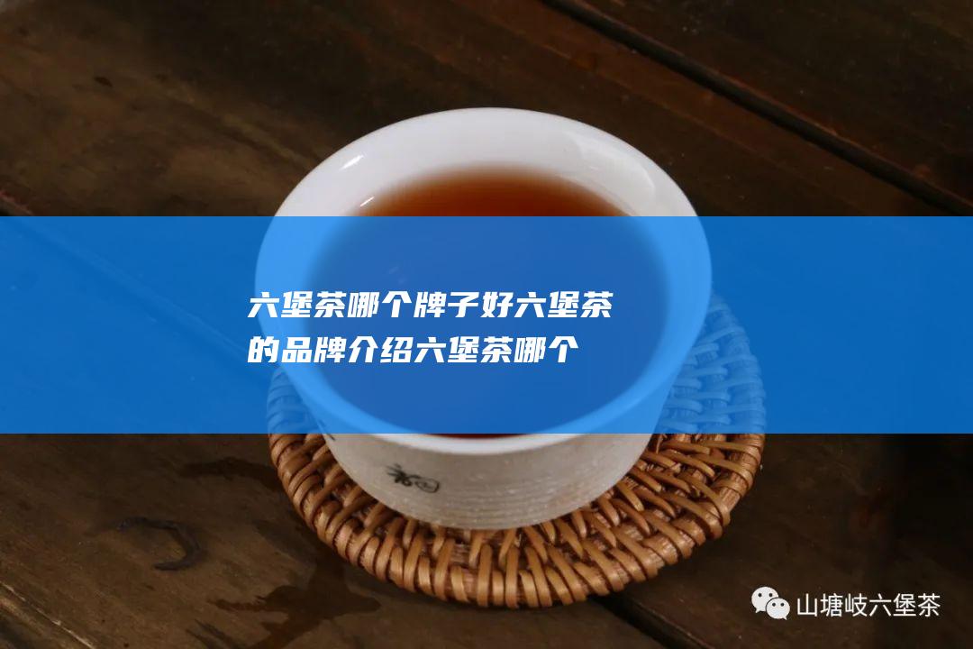 六堡茶哪个牌子好 六堡茶的品牌介绍 (六堡茶哪个牌子最好)