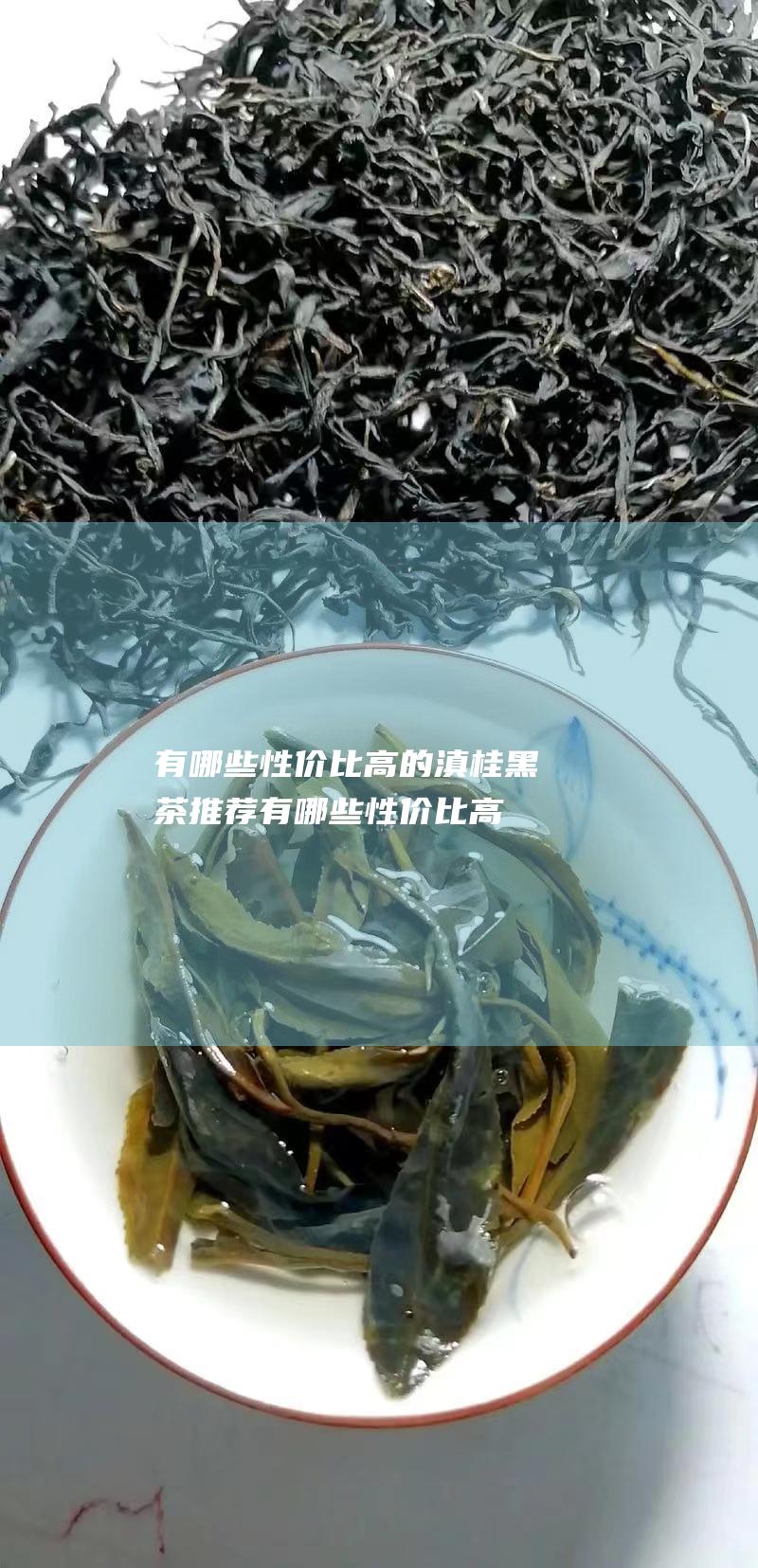 有哪些性价比高的滇桂黑茶推荐 (有哪些性价比高的一本)