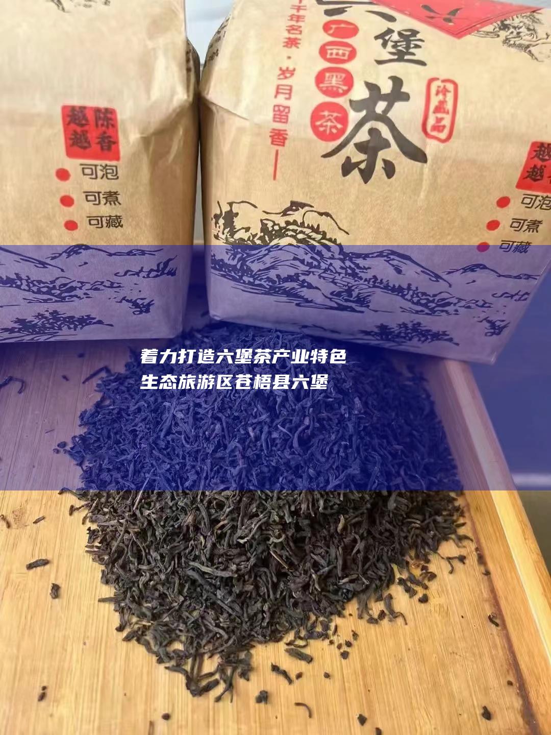 着力打造六堡茶产业特色生态旅游区 苍梧县 (六堡工作指的是)