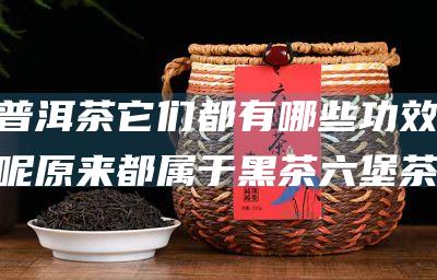 普洱茶 它们都有哪些功效呢 原来都属于黑茶 六堡茶 (普洱茶它们都是什么茶)