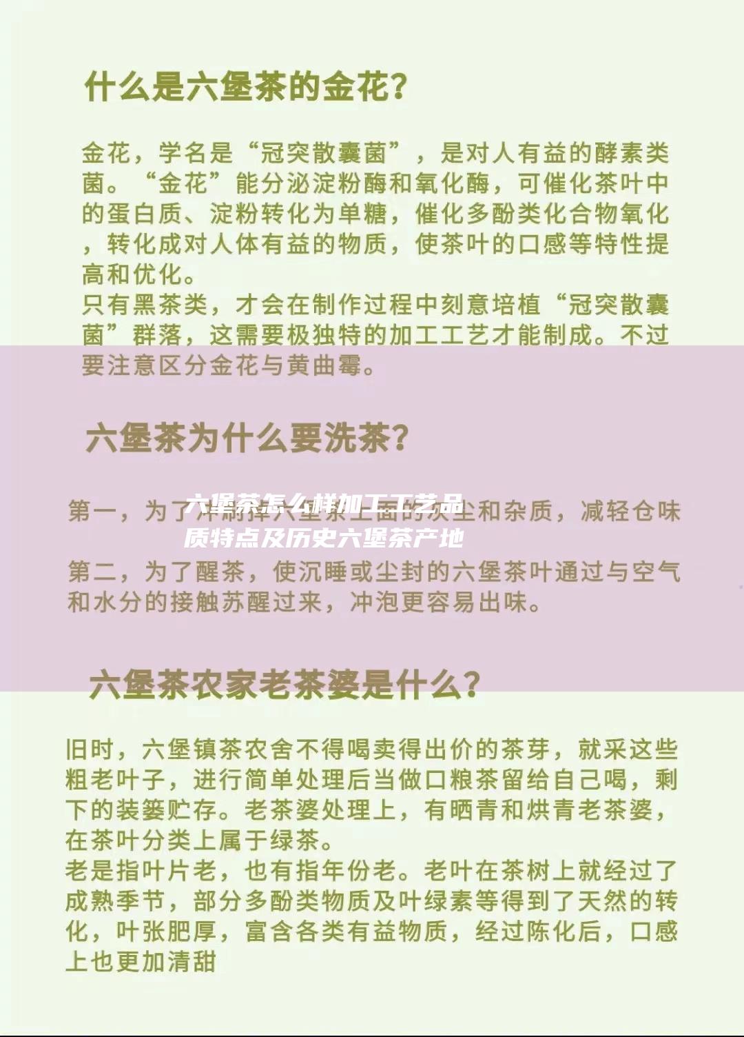 六堡茶怎么样 加工工艺 品质特点及历史 六堡茶产地 (三鹤六堡茶怎么样)