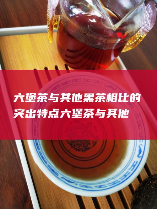 六堡茶与其他黑茶相比的突出特点 (六堡茶与其他茶的竞争)