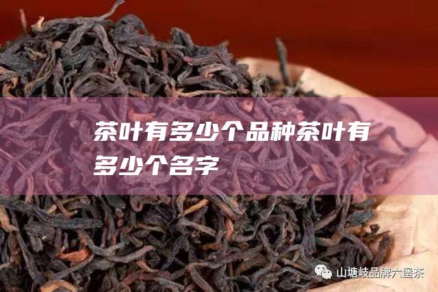 茶叶有多少个品种 (茶叶有多少个名字)