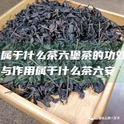 属于什么茶茶的功效与作用属于什么茶六安