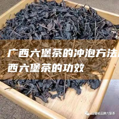 广西六堡茶的冲泡方法 (广西六堡茶的功效)