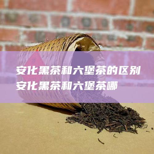 安化黑茶和六堡茶的区别！ (安化黑茶和六堡茶哪个更值得喝)