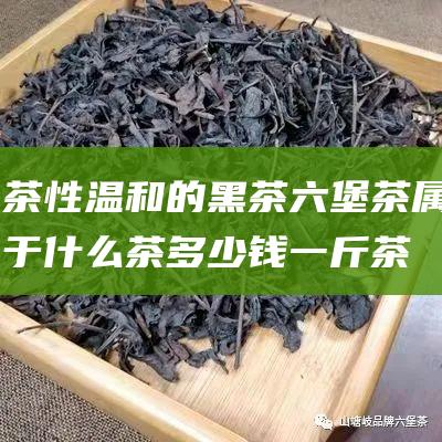 茶性温和的黑茶 六堡茶属于什么茶 多少钱一斤 (茶性温和的黑茶是什么)