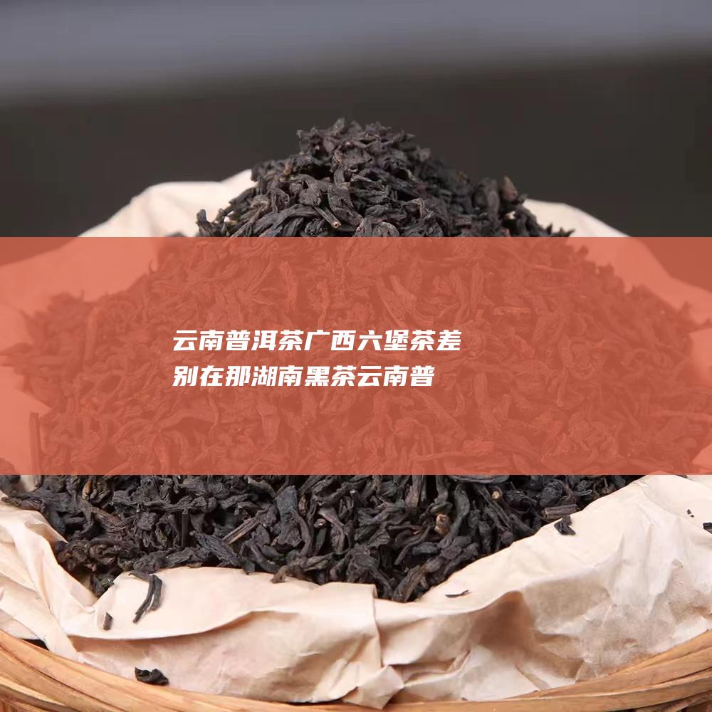 云南普洱茶 广西六堡茶差别在那 湖南黑茶 (云南普洱茶广告)