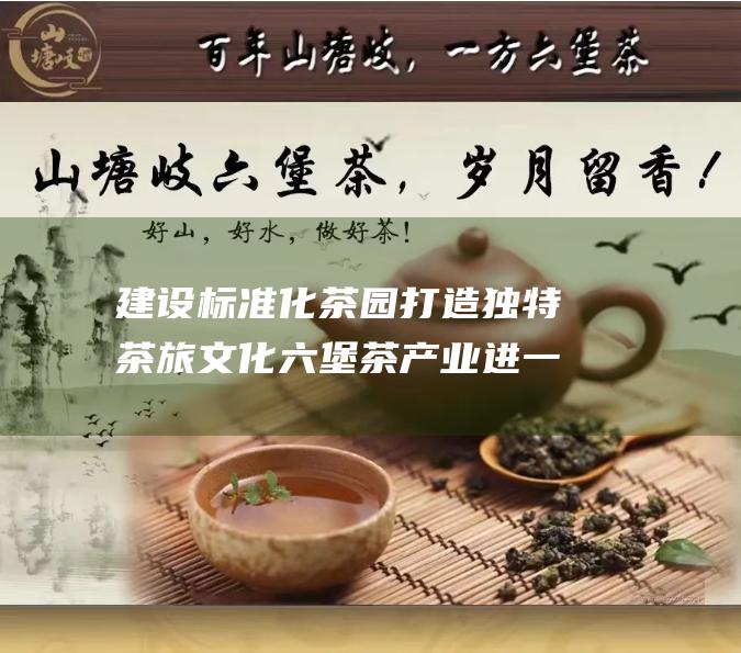 建设标准化茶园打造独特茶旅文化六堡茶产业进一步升级 (标准化建设标准)