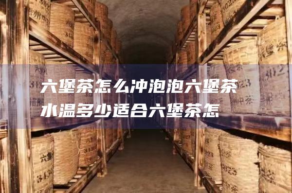 六堡茶怎么冲泡 泡六堡茶水温多少适合 (六堡茶怎么冲泡最好)