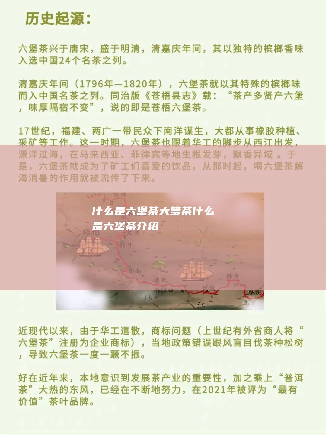 什么是六堡茶大箩茶 (什么是六堡茶介绍)