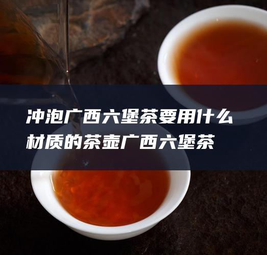 冲泡广西六堡茶要用什么材质的茶壶 (广西六堡茶冲泡三要素)