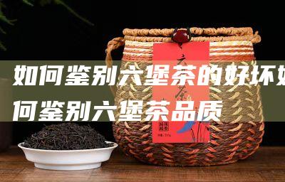 如何鉴别六堡茶的好坏 (如何鉴别六堡茶品质)