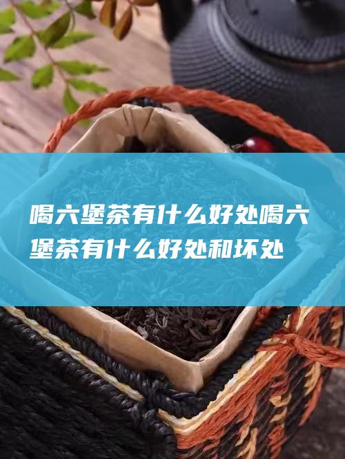 喝六堡茶有什么好处 (喝六堡茶有什么好处和坏处)