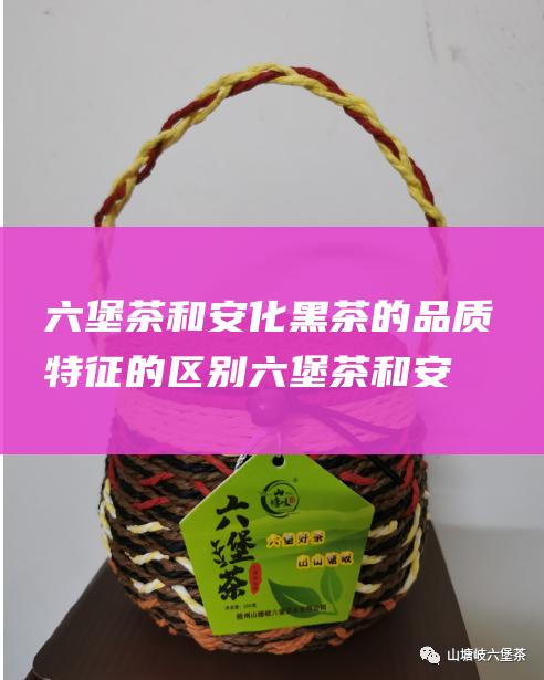 六堡茶和安化黑茶的品质特征的区别 (六堡茶和安化黑茶哪个好)