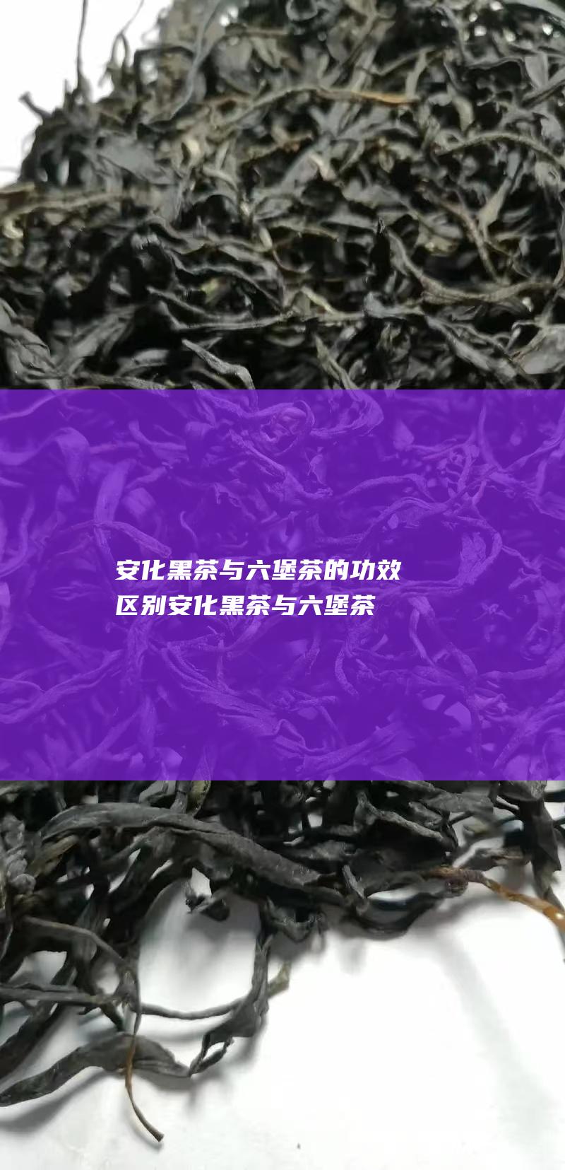 安化黑茶与六堡茶的功效区别 (安化黑茶与六堡茶哪个好)