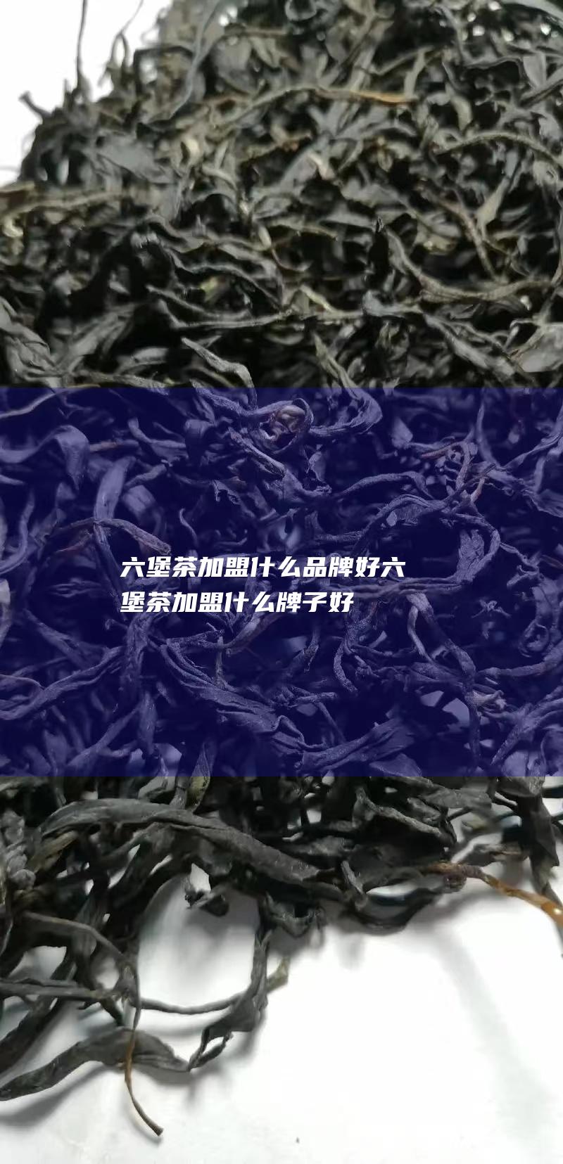 六堡茶加盟什么品牌好 (六堡茶加盟什么牌子好)