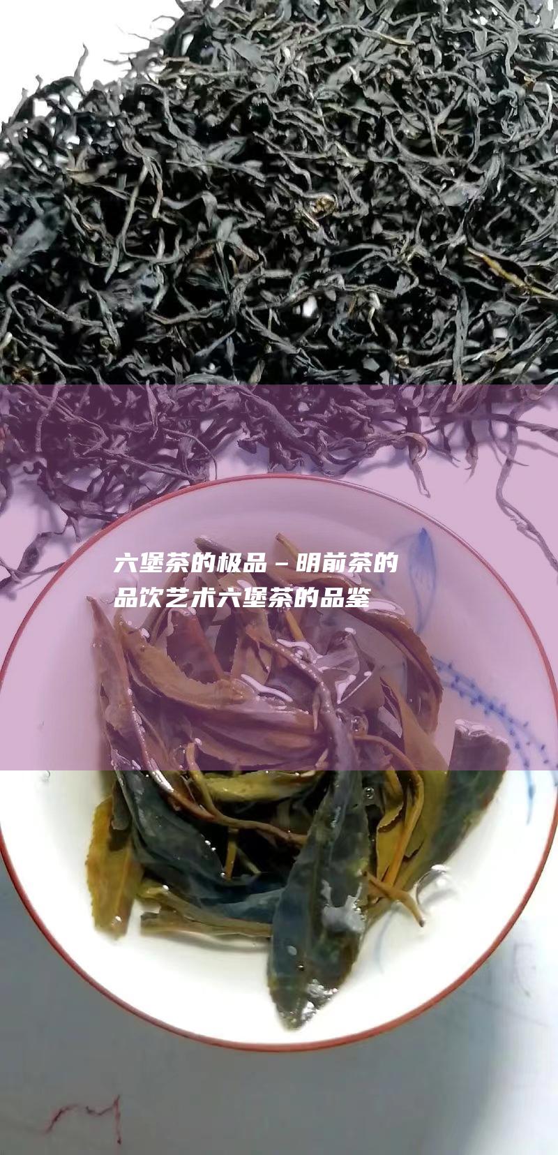 六堡茶的极品–明前茶的品饮艺术六堡茶的品鉴