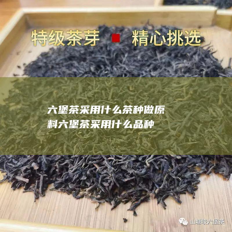 六堡茶采用什么茶种做原料 (六堡茶采用什么品种茶叶)