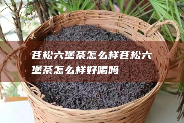 苍松六堡茶怎么样 (苍松六堡茶怎么样好喝吗)