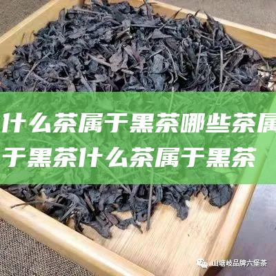 什么茶属于黑茶 哪些茶属于黑茶 (什么茶属于黑茶系列)