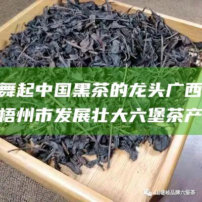 舞起中国黑茶的龙头 广西梧州市发展壮大六堡茶产业全景图