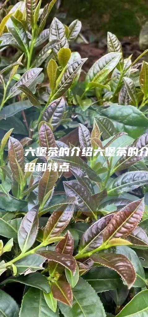 六堡茶的介绍六堡茶的介绍和特点