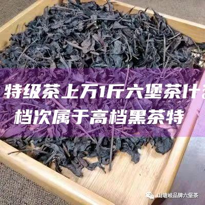 特级茶上万1斤 六堡茶什么档次 属于高档黑茶 (特级 茶)