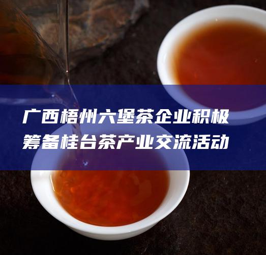 广西梧州 六堡茶企业积极筹备桂台茶产业交流活动 (广西梧州六堡镇)